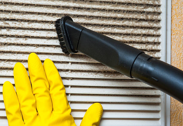 Best Ductwork Cleaning Services  in Minerva, OH