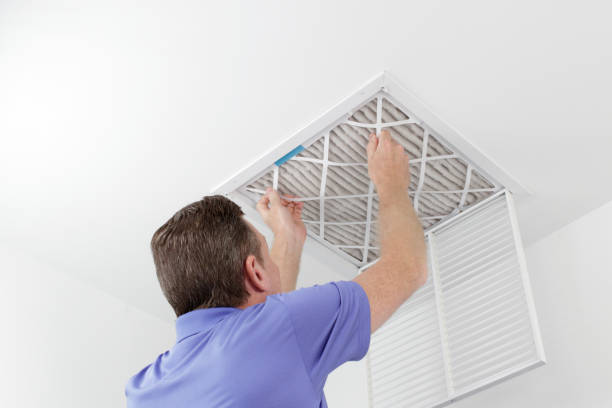 Best Air Duct Sanitizing Services  in Minerva, OH